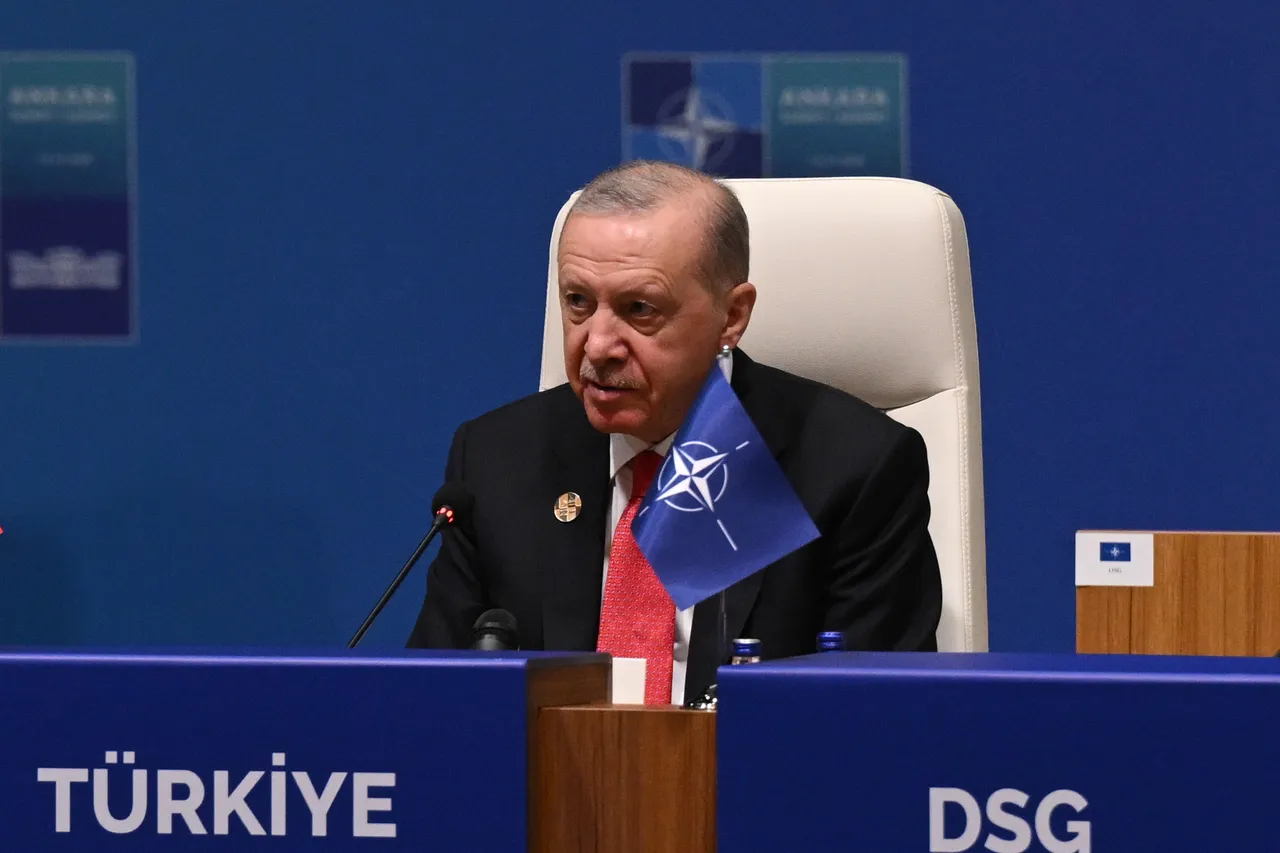 Erdogan calls for lifting restrictions on defence cooperation among NATO allies