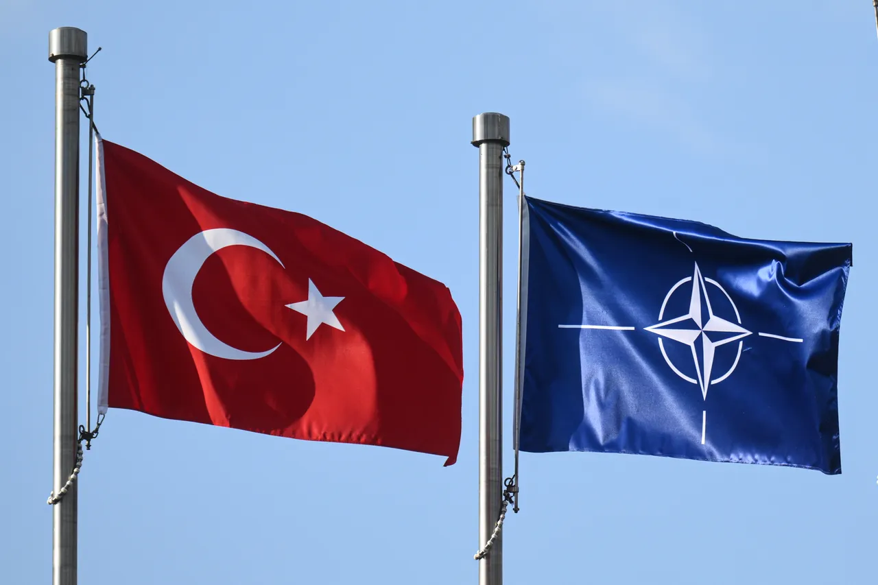 NATO unveils major multinational defence projects that include Türkiye