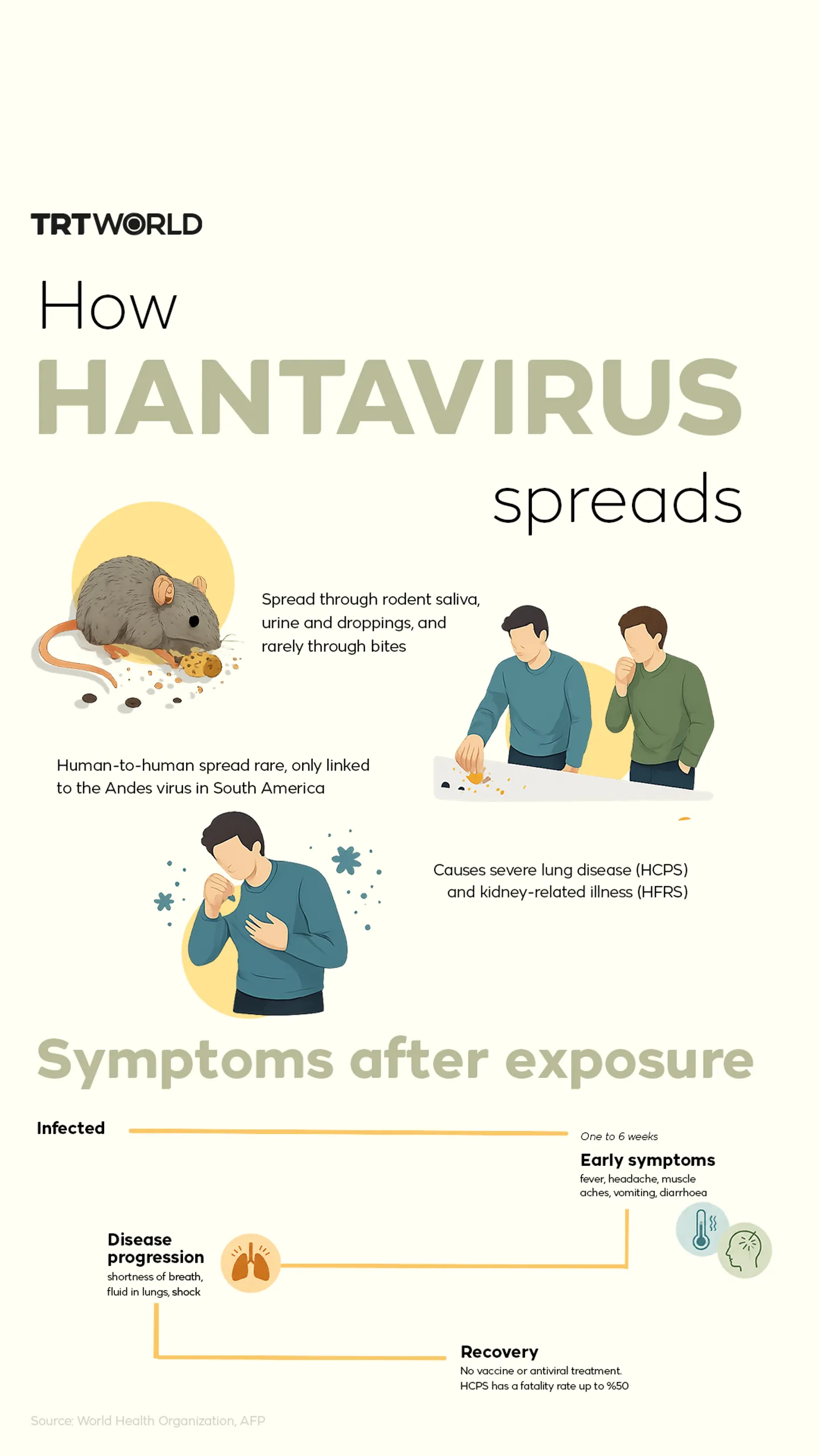 How hantavirus spreads