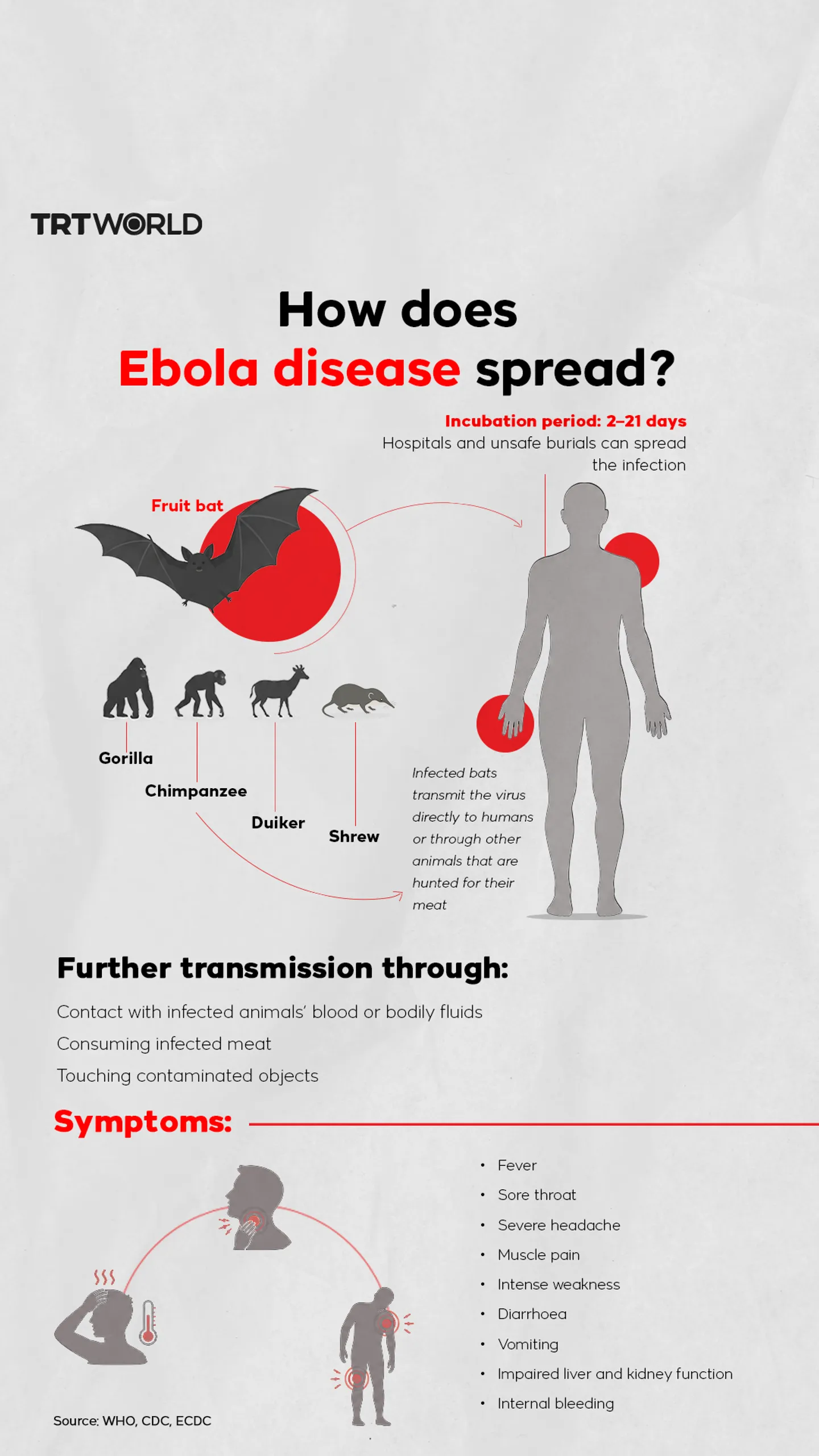 How does Ebola disease spread?